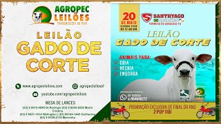 Agropecleiloes.com - LEILÃO GADO DE CORTE  | SANTHYAGO LEILÕES - FORMOSO DO ARAGUAIA-TO| 20/05/2024