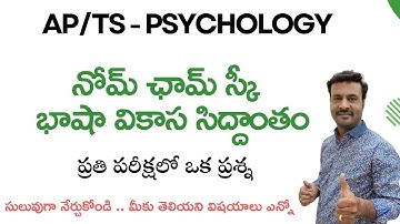 చాం స్కీ బాషా సిద్ధాంతం || #tgdsc #tet2025 #apdsc #tetpsychology #vidyadrukpadalu #pie