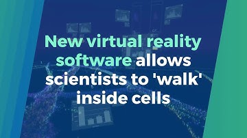 New virtual reality software allows scientists to 