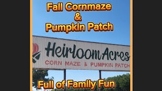 Heirloom Acres Cornmaze & Pumpkin Patch! #viralvideo #cornmaze #pumpkinpatch #fallfun #familyfun 
