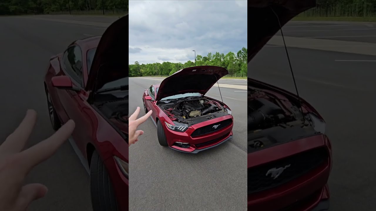 2 Reasons To Buy A Mustang Ecoboost