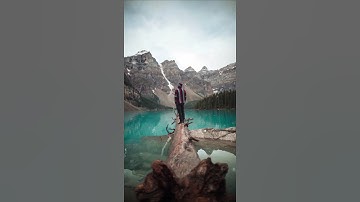 Man on Tree Photo Animation - Amazing NFT Creation - Custom Parallax Photo Animation