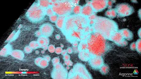 Direct Numerical Simulations of Cosmological Reionization – Field Comparison: Density