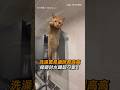【融化了】洗澡驚見貓咪爬高高 探頭討水喝超可愛！｜貓咪｜喝水｜洗澡｜寵物