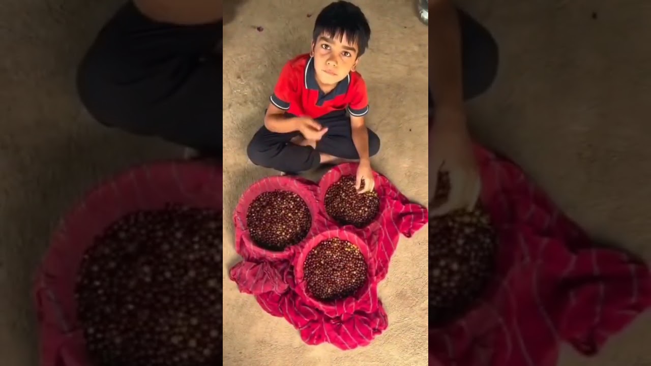 rajsthan ki thath#youtubeshorts #apnorajasthan #villegelife#thar#ipl2025