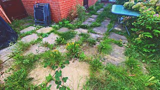 CRAZY One-Day Garden MAKEOVER | Before & After Spectacular