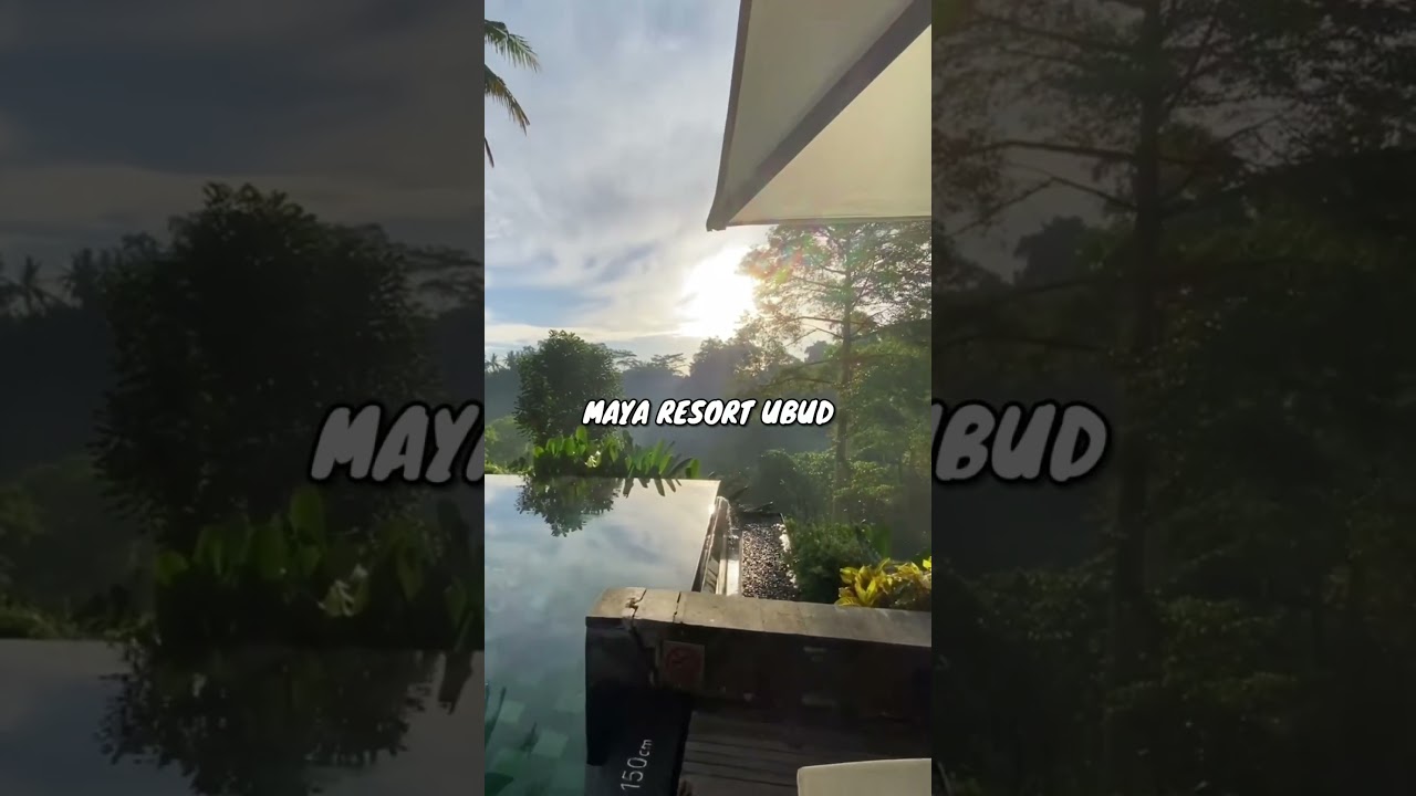 Can you hear the jungle? 😍 Maya Resort and SpA 🏨 5 star resort in the heart of Ubud ❤️🌴 