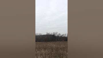 Scratch Built RC airplane test Flight (Pusher Prop)