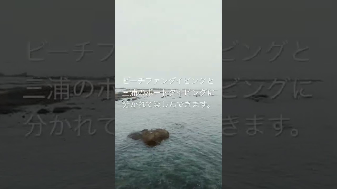 22年6月21日ダイビングショップnanaが葉山の海況をお伝えします Youtube