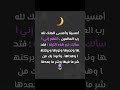 Evening Prayer: Asking Allah for the Best of the Night and Protection from All Evil 🪻