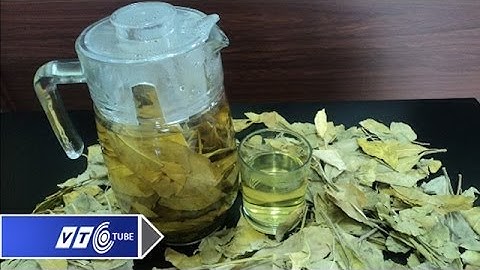 Chè dung: Thức uống "vàng" cho sức khỏe | VTC