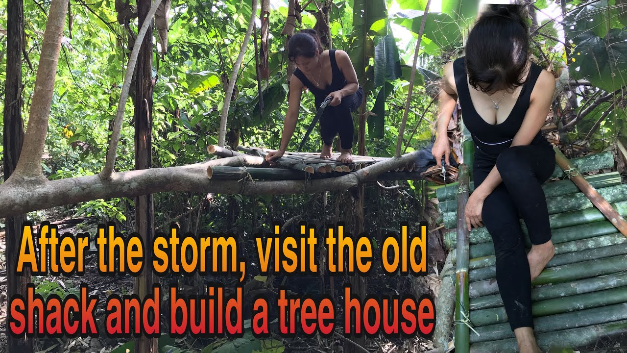 Asian girl visits old camp in the forest to build a tree house