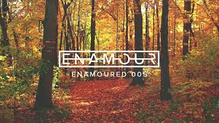 Enamoured Mix 005: Autumn Haze