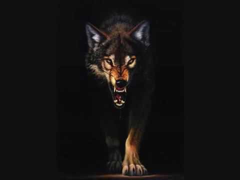 ჩვენზე მგლებზე ქუთაისელებზე