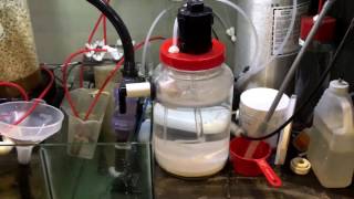 DIY kalk stirrer.  First test!