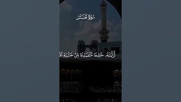 سوره الحشر ماهر المعيقلي #ماهر_المعيقلي
