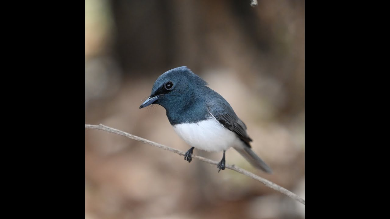 North Queensland Adventure Part 1