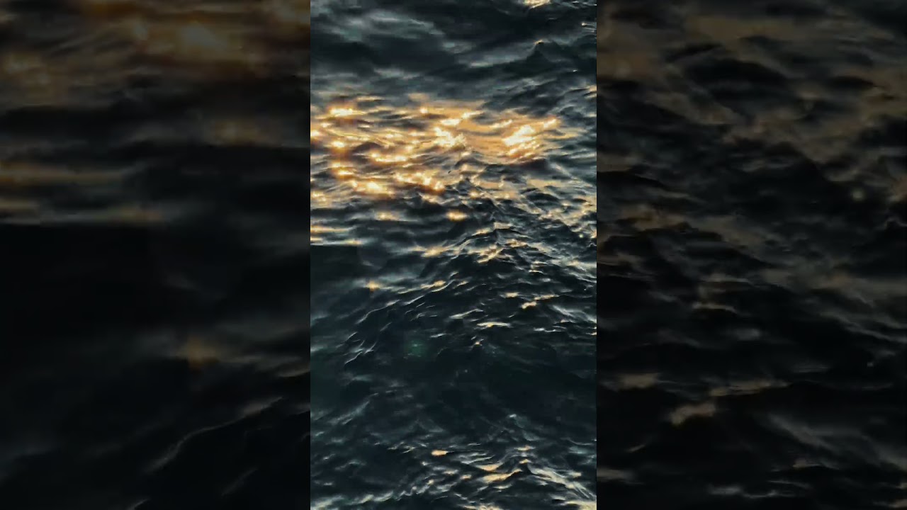LateChoir - Draw the Sun(Deep House)#deephouse#music#music#trending#trendingshorts#spotify#dj
