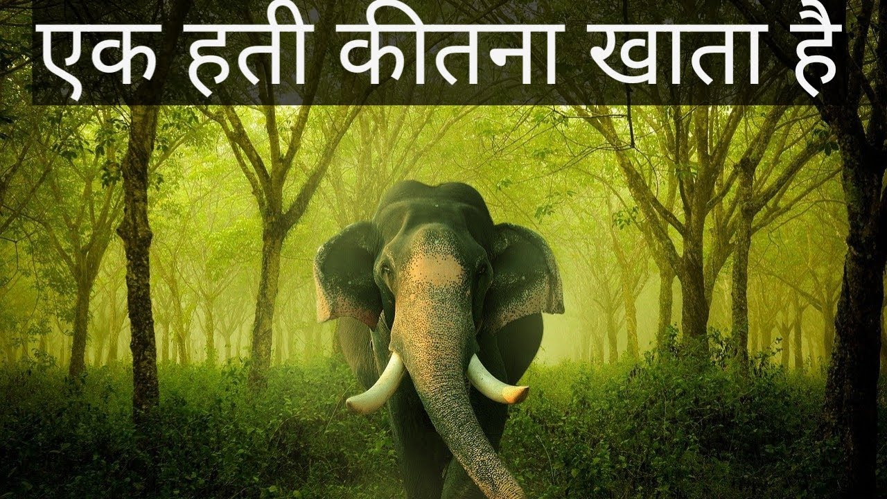 Ak hathi kitna khata hai YouTube