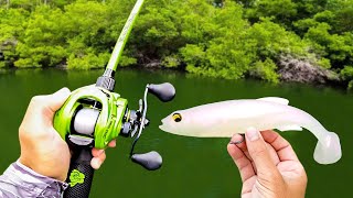 Fishing a BIG Swimbait for Pond MONSTERS!