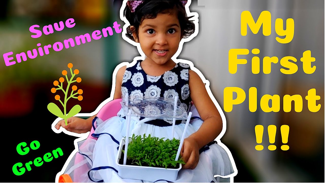 Gardening For Kids | How to Grow Plant | Plants for Kids | My First Plant