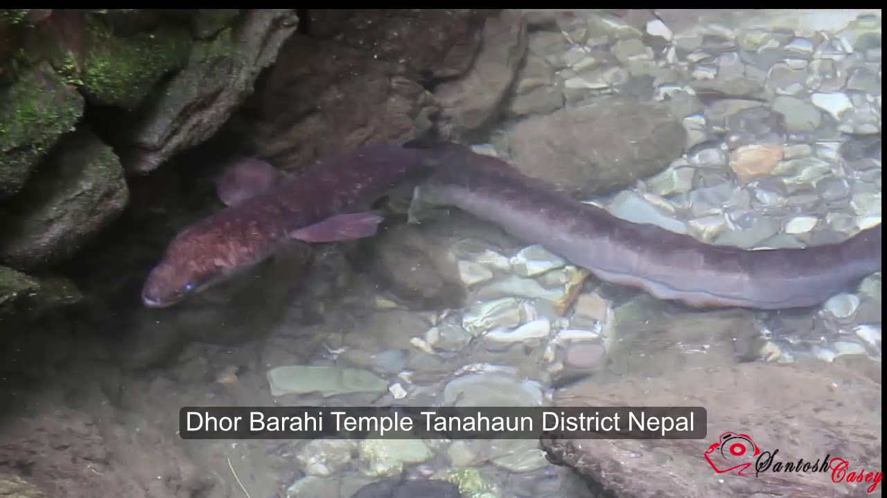 Dhor Barahi Temple Tanahaun District Nepal
