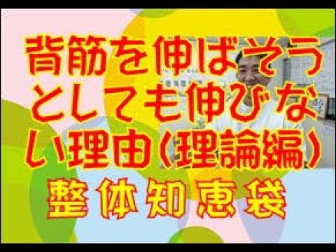 背筋を伸ばそうとしても伸びない理由（理論編）「整体知恵袋.com」