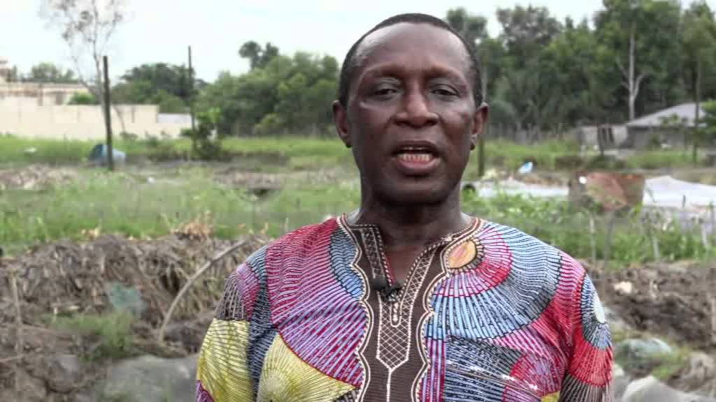 Catfish Farming  Niger Delta2- Pond Stocking