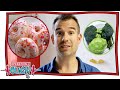 What You Eat Is Important The Food Experiment OperationOuch Science For Kids Nugget 