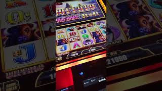CAUGHT FILMING All Aboard!! Buffalo style!! Huge Win! #oakgrovecasino #freespins #allaboardbuffalo
