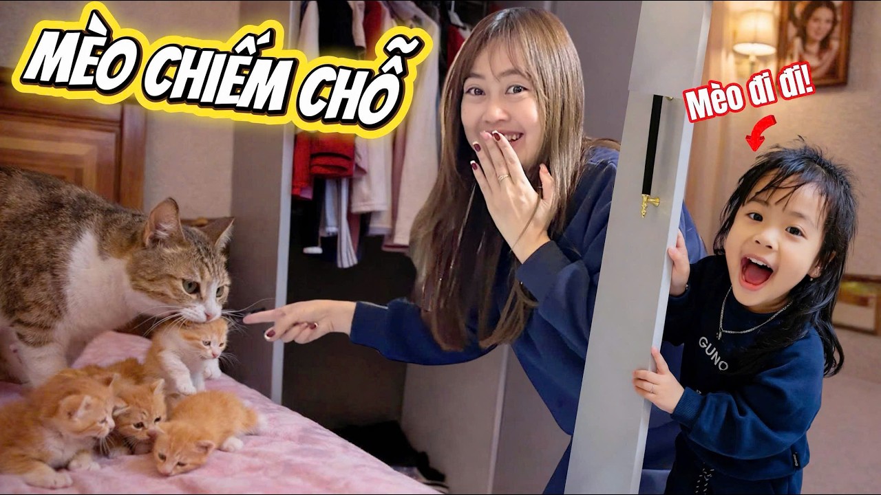 Mint Vy Hoảng Hốt Khi Mèo Mẹ Tha Đàn Con Vào Chỗ Ở Của Mình – Mẹ Hà Hí Ngược Xuôi Tìm Cách Xử Lý