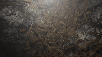 Worms and larvae For UE4