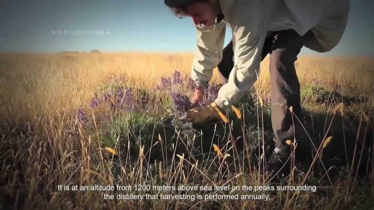 Florihana Pure Essential Oils From France Available at Tropical Traditions