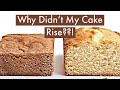 WHY DIDNT MY CAKE RISE??