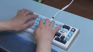 Gentoo Prototype with lubed Gateron Mizu Minks Typing Sounds