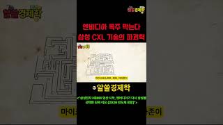 엔비디아 독주 막는다 삼성 CXL 기술의 파괴력