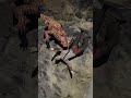 v102 Simulate Survival skills #Shorts