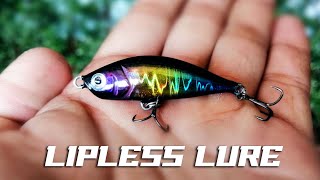 Lure making Lipless - ทำเหยื่อปลอมจมโคลง ตกปลากะพง