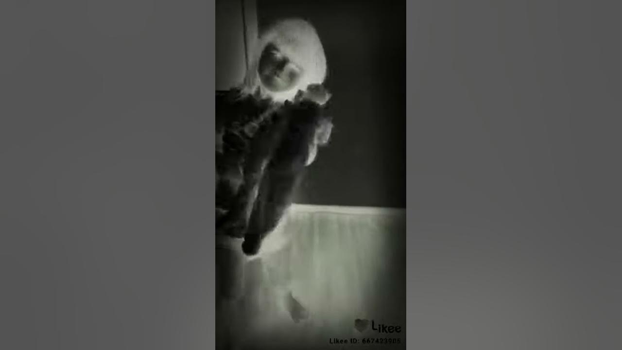 смішилки - YouTube