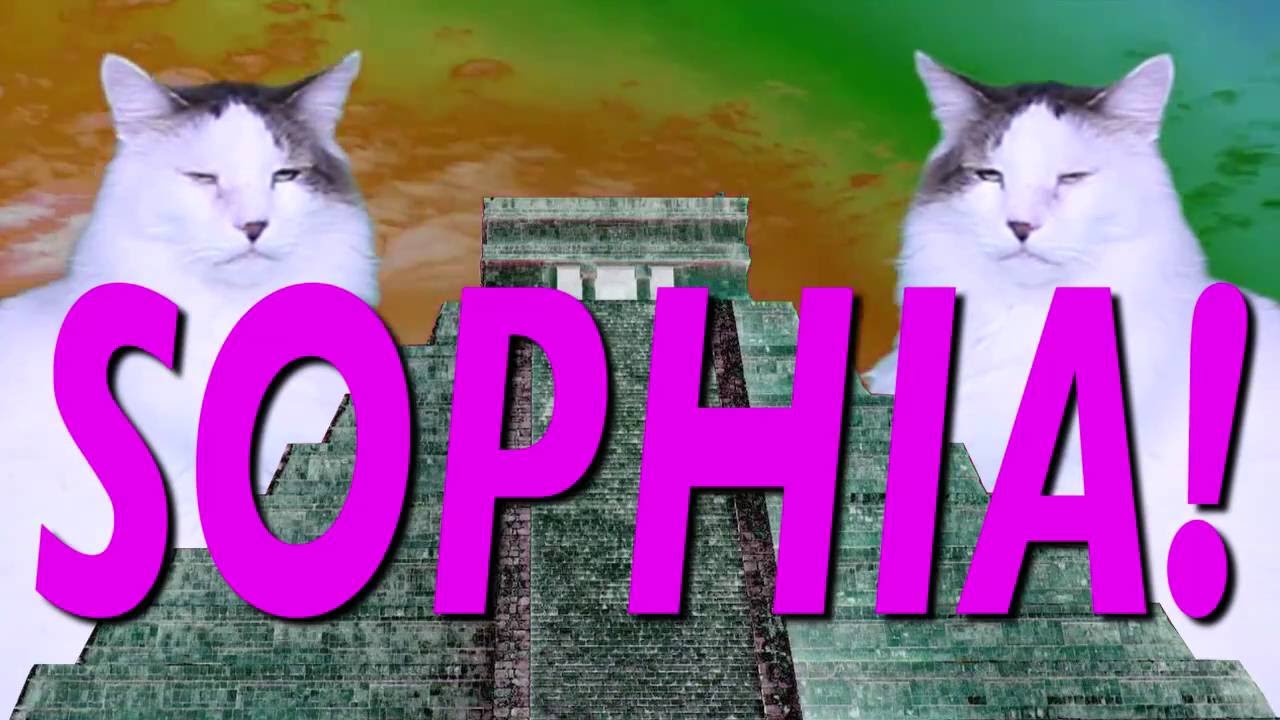 ¡FELIZ CUMPLEAÑOS SOPHIA! Canción Comica de Cumpleaños camera iphone 8 plus apk