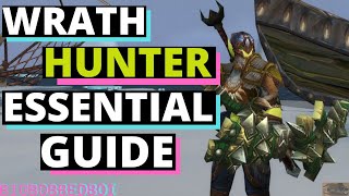 Wrath Hunter Essential Guide : How to Hunter | Wotlk Hunter Primer | WoW Classic