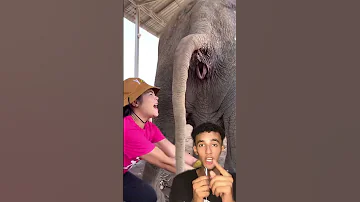 صاصا كوميدي اكسبلور دويتو Comedyfilms 
