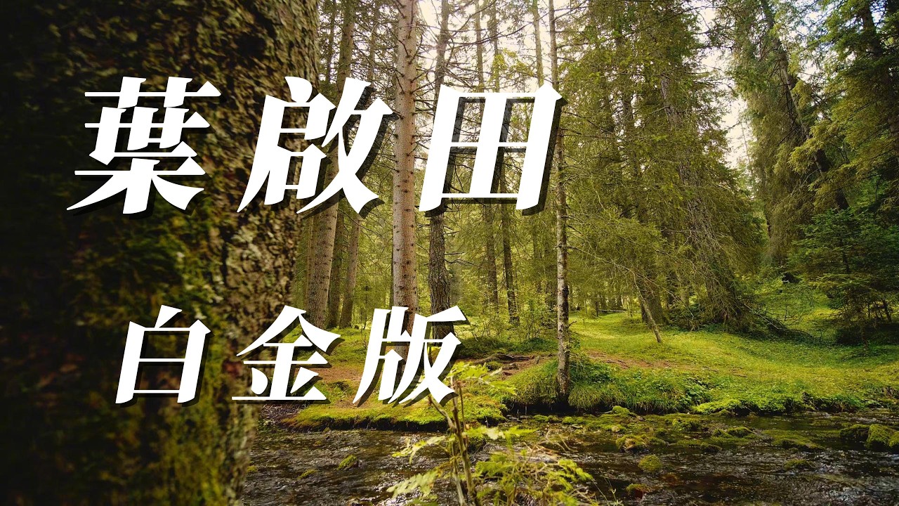 （葉啟田）白金版（大哥大姐喜歡嗎）😀😀😀😀🥹