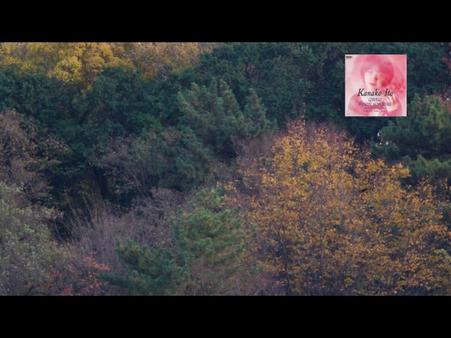 Grieg : Violin Sonata No.1 in F major Op.8 / Kanako Ito 1998 - YouTube