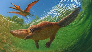 What Really Happened to the Other Mesozoic Mammals? | Documentary for Sleep