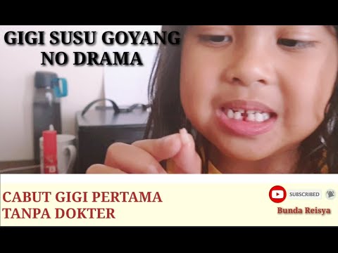 GIGI SUSU PERTAMAKU GOYANG - UMUR 5 TAHUN 10 BULAN😍