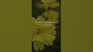 سورة العنكبوت آية ٨ - ٩ القارئ حسين الغرباوي