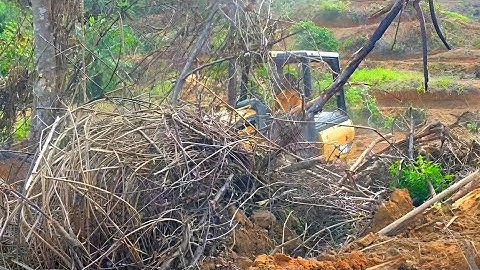 Crazy Bulldozer Operator Skills When in a Rage