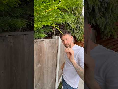 How To Fix A Fence Rattle #how #homeimprovement #diy #reels #asmr #asmrsounds #hacks #tips