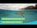 The Deep End Series Ep 13: The Physioshark Project